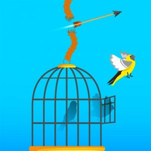 Free Bird Arcade Game