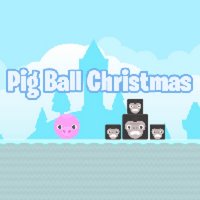 Pig Ball Holiday Puzzle