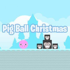 Pig Ball Christmas Puzzle