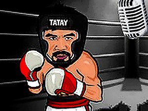 Elite Combat Sports Trainer