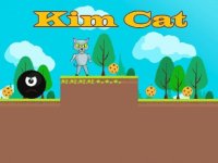 Kim Cat Arcade Action Game