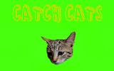 Catch Cats Online Game