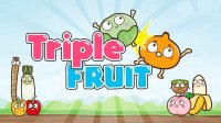 Produce Plate Puzzle Sort